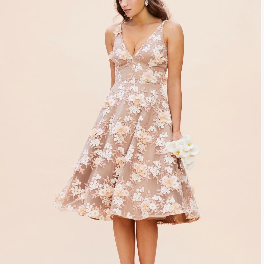 Dress the Population Elisa Fit & Flare